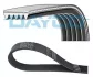 Ремінь генератора Ford Mondeo I/II 1.8TD 93-00 DAYCO (5PK575) зображення 2