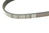 Фото Поліклиновий ремінь DAYCO (5PK650) зображення 4