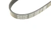 Фото Поліклиновий ремінь DAYCO (5PK650) зображення 5