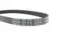 Фото Поликлиновый ремень DAYCO (5PK716EE) изображение 4