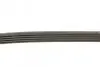 Фото Поліклиновий ремінь CITROEN BX, SAXO, ZX PEUGEOT 106 II, 206, 309 II, 405 I, PARTNER 1.0-1.9 06.87 DAYCO (5PK725) зображення 2