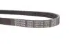 Фото Поліклиновий ремінь LAND ROVER FREELANDER I MG MGF, TF, ZR, ZS, ZT, ZT- T ROVER 100, 100 / METRO, 200 II, 25 I, 400, 400 II, 45 I, 75, 75 I, STREETWISE 1.1-1.8 03.90-12.09 DAYCO (5PK736) зображення 4