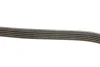 Ремень поликлин. (выр-во) DAYCO (5PK830) изображение 4