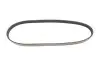 Фото Поліклиновий ремінь FORD FOCUS II HONDA JAZZ II LANCIA DELTA I 1.3-2.5 10.86-09.12 DAYCO (5PK853) зображення 1