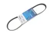 Фото Поліклиновий ремінь FORD FOCUS II HONDA JAZZ II LANCIA DELTA I 1.3-2.5 10.86-09.12 DAYCO (5PK853) зображення 2