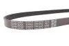 Фото Поліклиновий ремінь FORD FOCUS II HONDA JAZZ II LANCIA DELTA I 1.3-2.5 10.86-09.12 DAYCO (5PK853) зображення 4