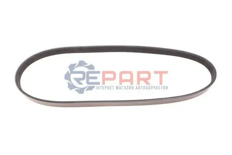 Ремень генератора поликлиновый DAYCO 5PK853 Купить в Украине