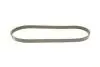 Фото Поліклиновий ремінь (5PK855) FORD FOCUS II HONDA CIVIC IX, CIVIC VIII, JAZZ II, JAZZ III 1.2-2.5 03.02-12.16 DAYCO (5PK855S) зображення 2