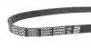 Фото Поліклиновий ремінь (5PK868) VOLVO C30, S40 II, V50 1.6 01.05-12.12 DAYCO (5PK868EE) зображення 2