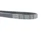 Фото Поліклиновий ремінь FORD FOCUS II HONDA JAZZ II NISSAN PATHFINDER III ROVER 75, 75 I SUBARU FORESTER, IMPREZA, LEGACY III, LEGACY IV, LEGACY V, OUTBACK, WRX 1.3-4.0 08.97 DAYCO (5PK872) зображення 4