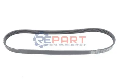 Поліклиновий ремінь FORD FOCUS II HONDA JAZZ II NISSAN PATHFINDER III ROVER 75, 75 I SUBARU FORESTER, IMPREZA, LEGACY III, LEGACY IV, LEGACY V, OUTBACK, WRX 1.3-4.0 08.97 DAYCO 5PK872 Купити в Україні