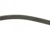 Фото Поліклиновий ремінь ALFA ROMEO 145, 146, 155 BMW 3 (E36), 5 (E34), 5 (E39), 7 (E38), Z3 (E36) FIAT TIPO HYUNDAI EQUUS / CENTENNIAL, XG KIA OPIRUS LANCIA DEDRA 1.3-3.5 03.90-06.12 DAYCO (5PK907) зображення 2