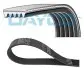 Поліклиновий ремінь ROVER MINI VW JETTA IV 1.3/2.5 01.92-12.17 DAYCO (5PK925) зображення 1