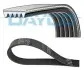 Поліклиновий ремінь (5PK925) HYUNDAI I10 I, I10 II KIA PICANTO II SUBARU IMPREZA VW JETTA IV 1.0-2.5 02.08-12.19 DAYCO (5PK925S) зображення 1