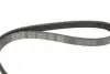 Ремень генератора BMW 5 (E34) 4.0i/Fiat Fiorino 1.7TD 92- - Ремень генератора BMW 5 (E34) 4.0i/Fiat Fiorino 1.7TD 92- DAYCO (5PK975) изображение 4
