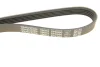 Фото Ремень генератора поликлиновый DAYCO (5PK990) изображение 5