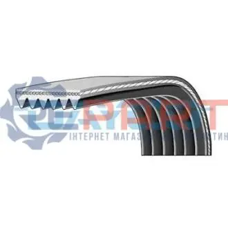 Поліклиновий ремінь (6PK1225) FIAT BRAVO I, COUPE, MAREA, PUNTO LANCIA LYBRA 1.8/2.0/2.4 10.95-03.12 DAYCO 6DPK1225