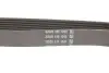 Фото Поліклиновий ремінь (6PK1004) DAYCO (6PK1004K) зображення 2