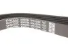 Фото Поліклиновий ремінь (6PK1004) DAYCO (6PK1004K) зображення 3