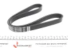Поліклиновий ремінь (6PK1019) FORD B-MAX, C-MAX II, FIESTA, FIESTA V, FIESTA VI, FOCUS III, FUSION, GRAND C-MAX MAZDA 2 1.2-1.6LPG 11.01 DAYCO (6PK1019EE) зображення 4