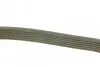 Фото Поліклиновий ремінь (6PK1024) FORD FIESTA VI 1.25 06.08-04.17 DAYCO (6PK1024EE) зображення 2