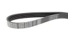 Поліклиновий ремінь (6PK1020) DAYCO (6PK1025) зображення 2