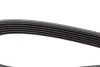 Поліклиновий ремінь (6PK1020) DAYCO (6PK1025) зображення 3