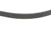 Фото Ремінь генератора Ford Focus/Kuga/C-Max 1.5 EcoBoost 14 DAYCO (6PK1027EE) зображення 3