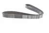 Ремень генератора поликлиновый DAYCO (6PK1035S) изображение 2
