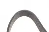 Ремень генератора поликлиновый DAYCO (6PK1035S) изображение 3