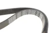Фото Поліклиновий ремінь (6PK1042) DAYCO (6PK1042EE) зображення 3