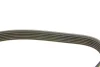 Фото Ремінь генератора Ford Focus 1.6i (6EPK1059) DAYCO (6PK1059) зображення 3