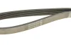 Фото Ремінь генератора Ford Focus 1.6i (6EPK1059) DAYCO (6PK1059) зображення 4