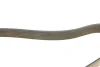 Поліклиновий ремінь (6PK1059) VOLVO C30, S40 II, V50 FORD C-MAX, FOCUS C-MAX, FOCUS II, FOCUS III 1.4-1.6LPG 07.04-02.20 DAYCO (6PK1059EE) зображення 4