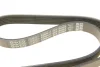 Поліклиновий ремінь (6PK1059) VOLVO C30, S40 II, V50 FORD C-MAX, FOCUS C-MAX, FOCUS II, FOCUS III 1.4-1.6LPG 07.04-02.20 DAYCO (6PK1059EE) зображення 6