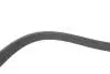 Фото Поліклиновий ремінь (6PK1090) CITROEN C2, C2 ENTERPRISE, C3 I, C3 PLURIEL, C4, C4 GRAND PICASSO I, C4 I, C4 PICASSO I PEUGEOT 1007, 206, 207, 307 1.4D/1.6D 02.02 DAYCO (6PK1090EE) зображення 3