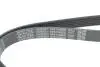 Фото Поліклиновий ремінь (6PK1090) CITROEN C2, C2 ENTERPRISE, C3 I, C3 PLURIEL, C4, C4 GRAND PICASSO I, C4 I, C4 PICASSO I PEUGEOT 1007, 206, 207, 307 1.4D/1.6D 02.02 DAYCO (6PK1090EE) зображення 4