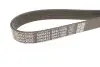 PASEK WIELOROWKOWY DAYCO (6PK1100S) изображение 3