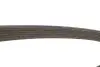 PASEK WIELOROWKOWY DAYCO (6PK1100S) изображение 4