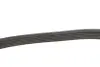 Ремінь генератора VW T5 1.9TDI/2.0TDI 03- (PS) HD DAYCO (6PK1120HD) зображення 3
