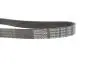 Фото Поліклиновий ремінь (6PK1120) HYUNDAI I30, I40 I, I40 I CW, KONA, TUCSON KIA CEED, OPTIMA, PROCEED, SPORTAGE IV, SPORTAGE V, STONIC, XCEED 1.6D 01.18 DAYCO (6PK1120S) зображення 3