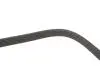 Фото Поліклиновий ремінь (6PK1120) HYUNDAI I30, I40 I, I40 I CW, KONA, TUCSON KIA CEED, OPTIMA, PROCEED, SPORTAGE IV, SPORTAGE V, STONIC, XCEED 1.6D 01.18 DAYCO (6PK1120S) зображення 4