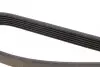 Фото Ремень генератора поликлиновый DAYCO (6PK1125) изображение 3
