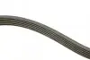 Ремень генератора поликлиновый DAYCO (6PK1150) изображение 2