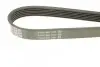 Ремень генератора поликлиновый DAYCO (6PK1150) изображение 3