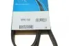 Ремень генератора поликлиновый DAYCO (6PK1150) изображение 6