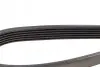 Фото Поліклиновий ремінь CITROEN JUMPER III DACIA DOKKER, DUSTER, LODGY NISSAN NV250, QASHQAI II PEUGEOT BOXER RENAULT 19 I, 19 I CHAMADE, 19 II, 19 II CHAMADE, 21 1.5D-3.0D 03.86 DAYCO (6PK1165) зображення 3