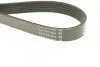 Поліклиновий ремінь VOLVO S60 II, S80 II, V60 I, V70 III, XC60 I, XC70 II, XC90 I CITROEN XANTIA, XM, XSARA, XSARA PICASSO DACIA DOKKER, DUSTER, LODGY, LOGAN 1.0-3.2ALK 05.94 DAYCO (6PK1200) зображення 3