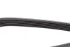 Фото Поліклиновий ремінь CHEVROLET AVEO, TRAX CITROEN C1 DAIHATSU SIRION NISSAN PULSAR, QASHQAI +2, QASHQAI I, QASHQAI II, SENTRA VI, X-TRAIL II, X-TRAIL III OPEL ADAM 1.0-2.0 12.99 DAYCO (6PK1209) зображення 4