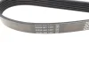 Фото Ремень генератора поликлиновый DAYCO (6PK1240) изображение 2